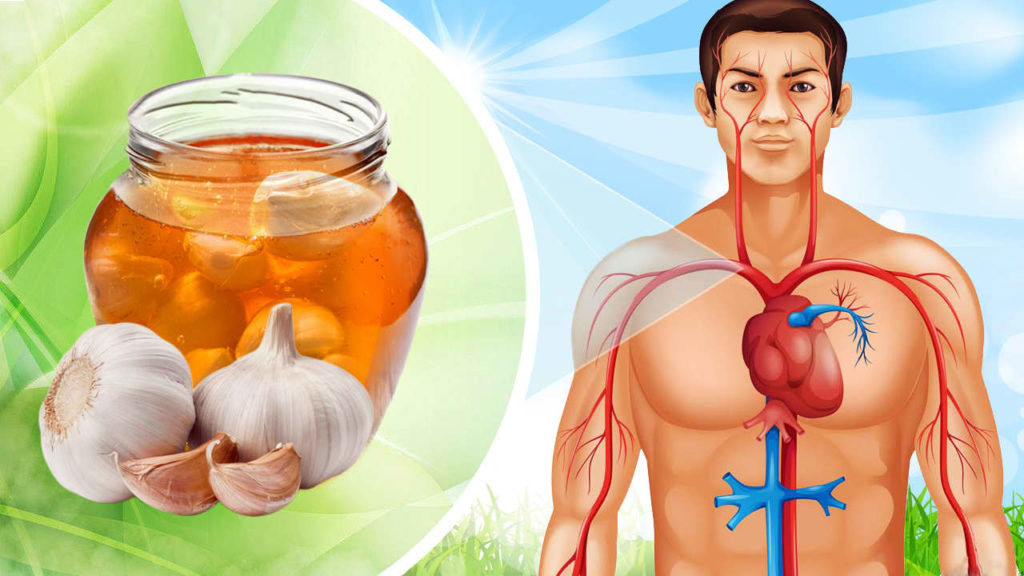 Benefits of Garlic and Honey