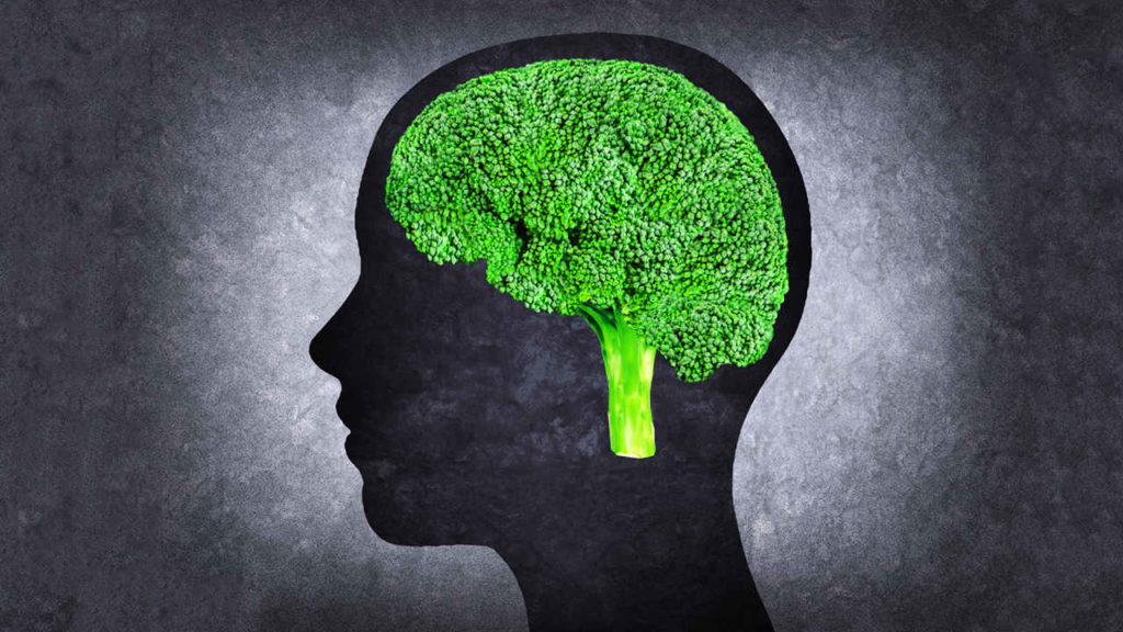 10 Best Foods To Boost Brain Power and Improve Memory